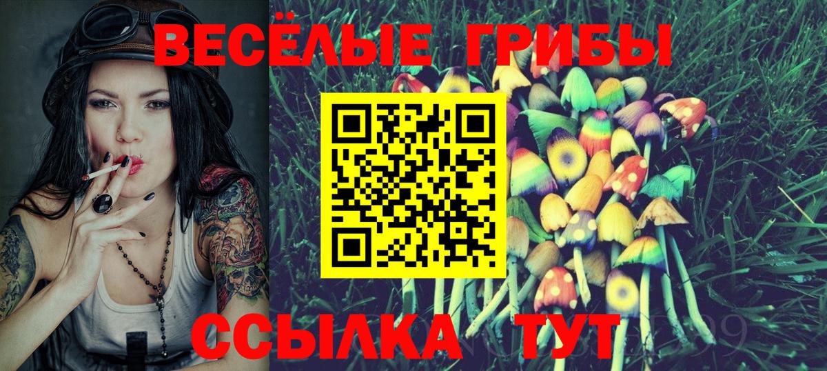 Галлюциногенные грибы Psilocybine cubensis  Галлюциногенные грибы ЛСД  Кимовск  Вход с VPN 