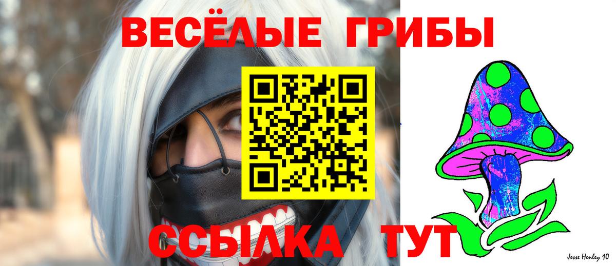 Галлюциногенные грибы Psilocybine cubensis Кимовск